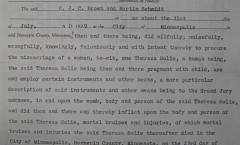 grand jury abortion indictment, theresa solie
